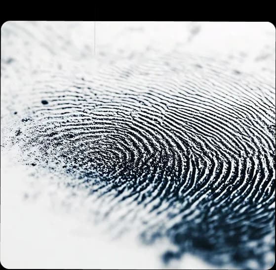 Fingerprinting in Paris